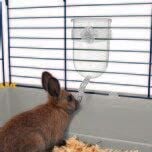 Imac Bibber 800 ml Tavşan ve Guinea Pig Suluğu