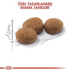 Royal Canin Sterilised 37 Kısırlaştırılmış Kediler için Kuru Kedi Maması 15 kg