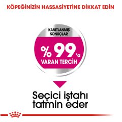 Royal Canin Mini Exigent 3 kg Köpek Maması