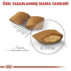 Royal Canin Mini Exigent 3 kg Köpek Maması