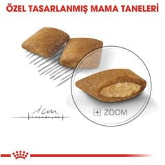 Royal Canin Mini Exigent 3 kg Köpek Maması