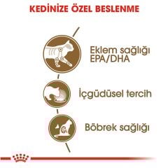 Royal Canin Ageing +12 Yaşlı Pouch 85 gr