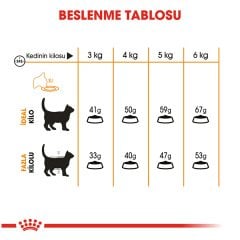 Royal Canin Hair Skin 2 kg Tüy Sağlığı Detekli Kedi Maması