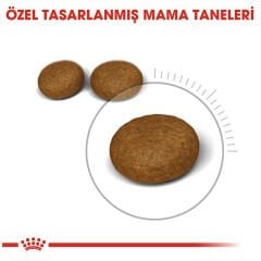 Royal Canin Hair Skin 4 kg Tüy Sağlığı Destekli Kedi Maması