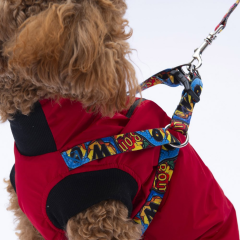 PawStar Kırmızı Nuuk Kolsuz Küçük Irk Köpek Yelek Yağmurluk XLarge