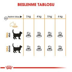 Royal Canin Hair Skin 4 kg Tüy Sağlığı Destekli Kedi Maması