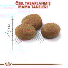 Royal Canin Sterilised Kısırlaştırılmış 7 Yaş ve Üzeri Kediler için 3,5 kg Kuru Kedi Maması