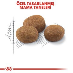 Royal Canin Sterilised Kısırlaştırılmış 7 Yaş ve Üzeri Kediler için 1,5 kg Kuru Kedi Maması