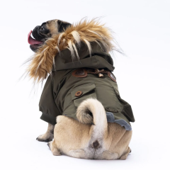 PawStar Haki Charles Küçük Irk Köpek Yağmurluk 2XLarge