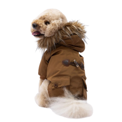PawStar Camel Charles Küçük Irk Köpek Yağmurluk Medium