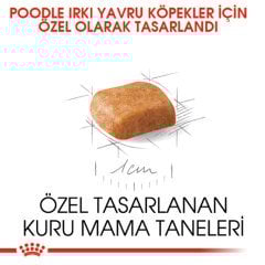 Royal Canin Poodle Puppy 3 Kg Yavru Köpek Irk Maması