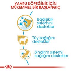 Royal Canin Poodle Puppy 3 Kg Yavru Köpek Irk Maması