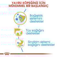 Royal Canin Poodle Puppy 3 Kg Yavru Köpek Irk Maması