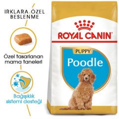 Royal Canin Poodle Puppy 3 Kg Yavru Köpek Irk Maması
