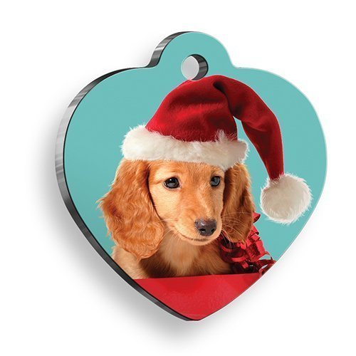 Pet Tag Art Blue Dog Kalp Köpek Künyesi Medium: 3,2 x 3,5 cm.