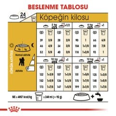 Royal Canin Poodle Adult 3 Kg Köpek Irk Maması