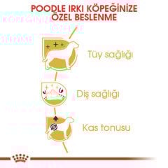 Royal Canin Poodle Adult 3 Kg Köpek Irk Maması