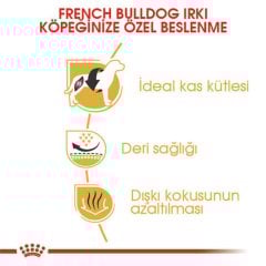 Royal Canin French Bulldog Adult 3 Kg Köpek Irk Maması