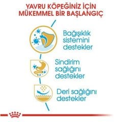 Royal Canin French Bulldog Puppy 3 Kg Yavru Köpek Irk Maması