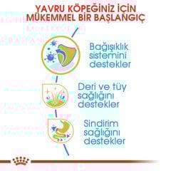 Royal Canin Shih Tzu Puppy 1,5 Kg Yavru Köpek Irk Maması