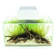 Fluval Edge Led Medium Beyaz Lambalı Akvaryum