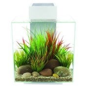 Fluval Edge Small 1539A Led Lambalı Beyaz Akvaryum