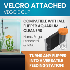 Flipper Feed Feeding Kit