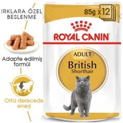 Royal Canin British Short Hair Pouch 85 gr x 12 adet