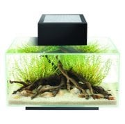 Fluval Edge 15385A Led Medium Siyah Akvaryum