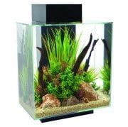 Fluval Edge Small Led Aydinlatmali Akvaryum