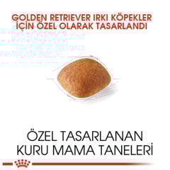 Royal Canin Golden Retriever 12 kg Köpek Irk Maması