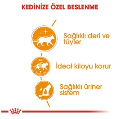 Royal Canin Care Hair Skin Sağlıklı Tüyler İçin Yaş Kedi Maması 85 gr 12 Adet