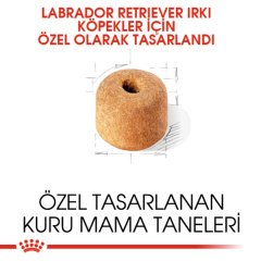 Royal Canin Labrador Retriever 12 kg Köpek Irk Maması