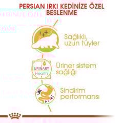 Royal Canin Persian Pouch 85 gr x 12 adet