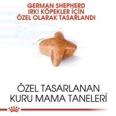 Royal Canin German Shepherd Adult 11 kg Köpek Irk Maması
