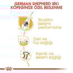 Royal Canin German Shepherd Adult 11 kg Köpek Irk Maması