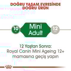 Royal Canin Mini Adult Pouch 85 gr x 12 adet