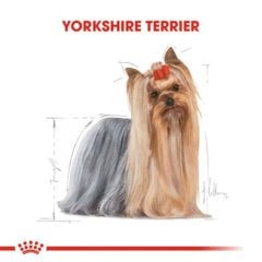 Royal Canin Yorkshire Terrier Pouch 85 gr x 12 adet