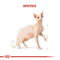 Royal Canin Sphynx 2 Kg