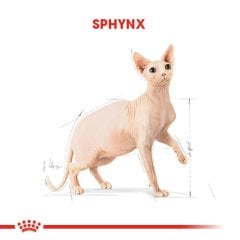 Royal Canin Sphynx 2 Kg