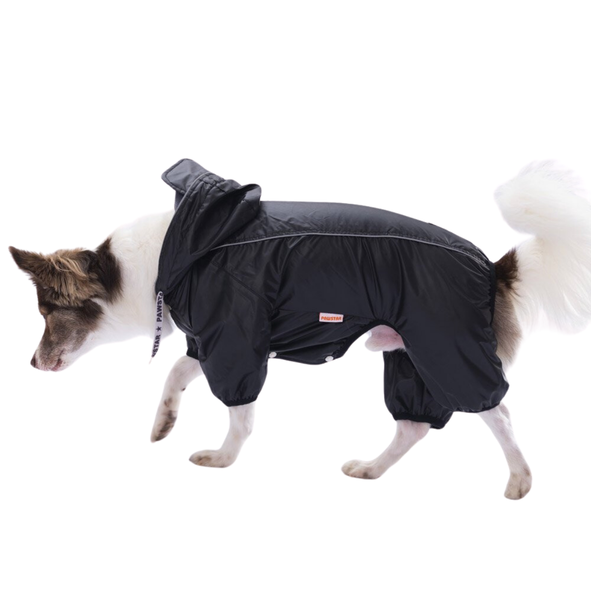 PawStar Siyah Muson Küçük Irk Köpek Tulum Yağmurluk XLarge