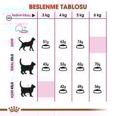Royal Canin Fussy Exigent Seçici Kedilere Özel Kedi Maması 4 Kg