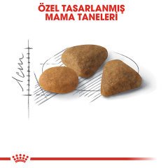 Royal Canin Savour Exigent 4 Kg Seçici İştaha Sahip Kedi Maması