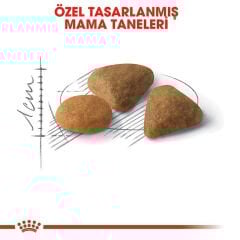 Royal Canin Fussy Exigent Seçici Kedilere Özel Kedi Maması 4 Kg