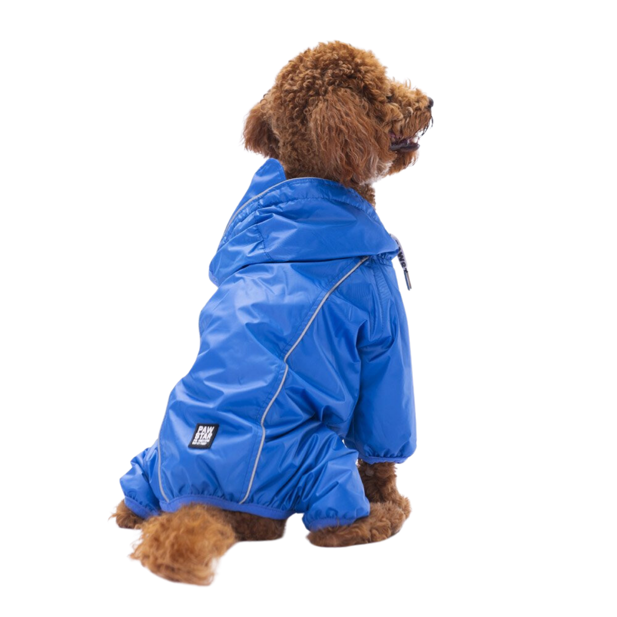 PawStar Mavi Muson Küçük ve Orta Irk Köpek Tulum Yağmurluk 2XLarge