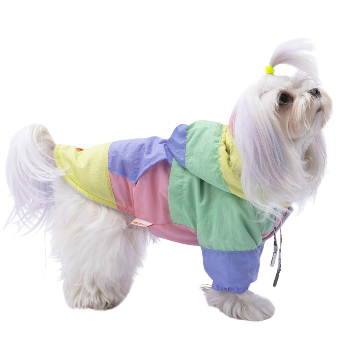 PawStar Pastel Kauai Küçük Irk Köpek Yağmurluk XLarge
