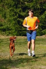 Karlıe Eller Serbest Köpek Gezdirme Tasması Siyah