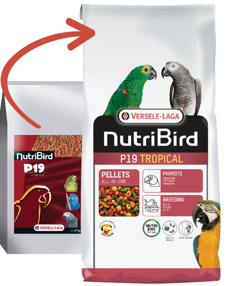 Versele Laga Nutribird P19 Tropical 10 Kg