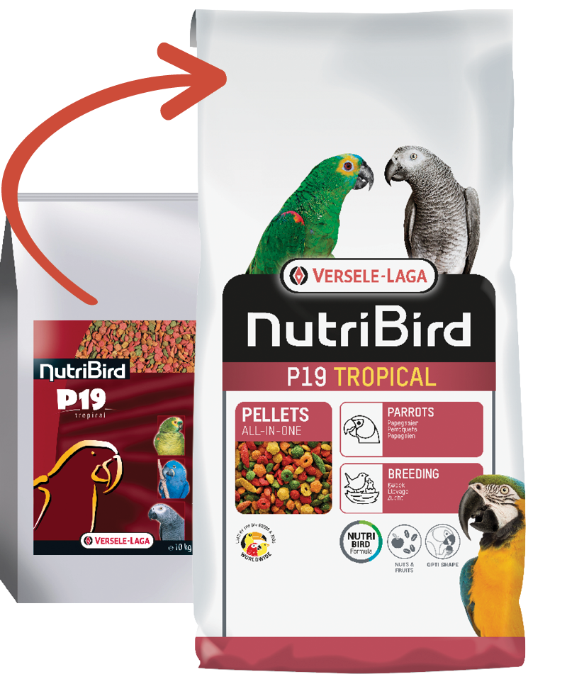 Versele Laga Nutribird P19 Tropical 10 Kg