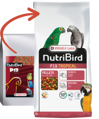 Versele Laga Nutribird P19 Tropical 10 Kg